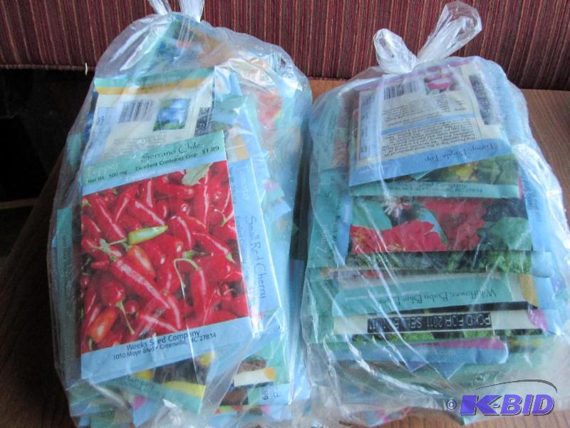 lot 126 image: Lot of 200 garden seeds, assorted f...