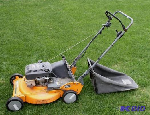 lot 68 image: Self Propelled Mower