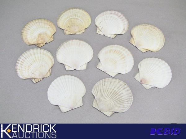 lot 53 image: Mixed Lot of Large Sea Shells