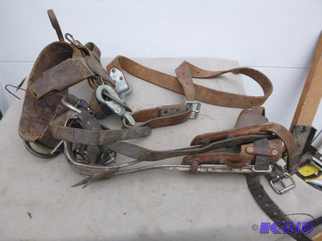 Climbing Harness...