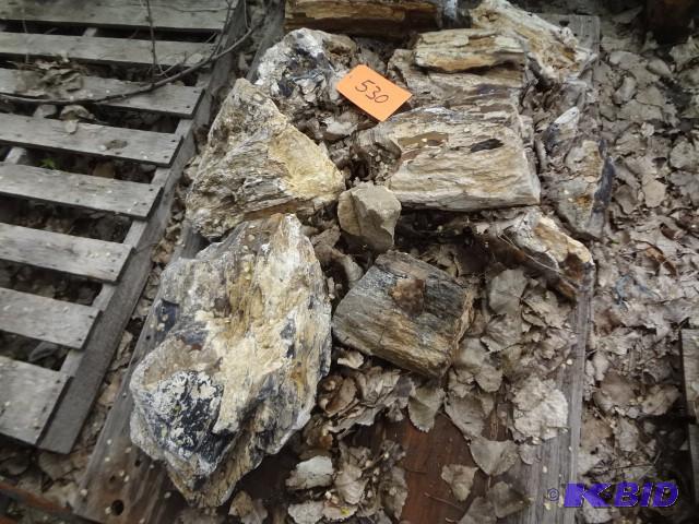 lot 530 image: Pallet of Petrified Wood...