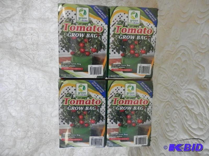 Lot of 4 green terrafirma tomato gr...