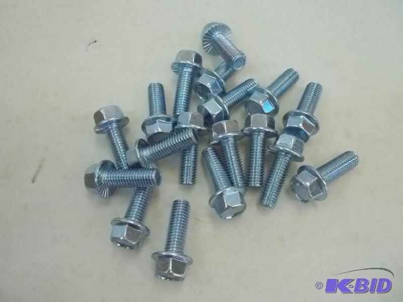 Flange Screws
