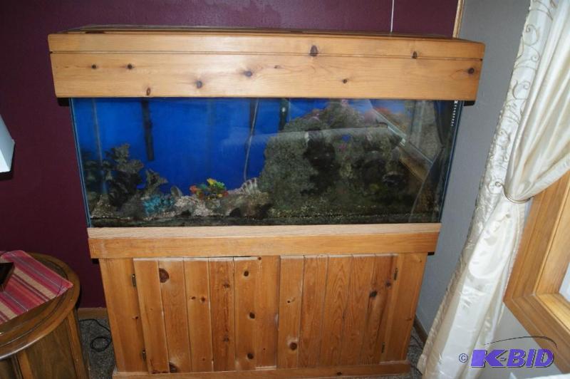 Saltwater Fishtank