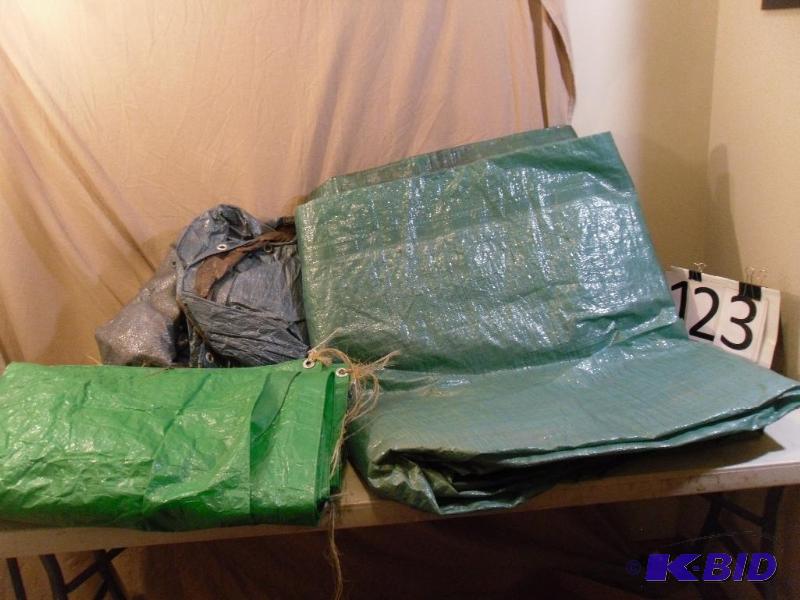 lot 123 image: Lot of 3 Assorted Tarps. Sizes and ...