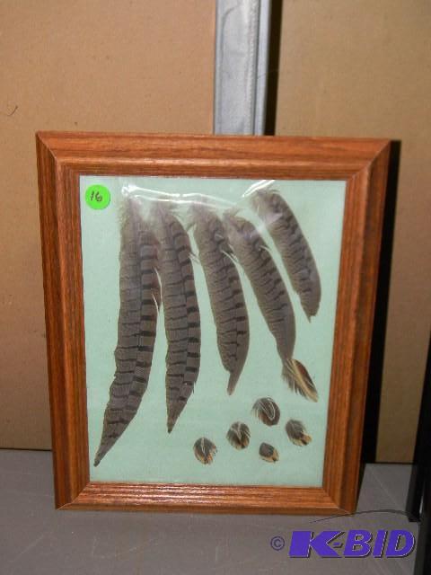 Framed picture with feathers inside...