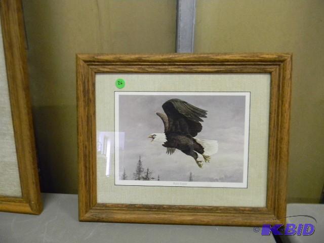 Bald Eagle framed picture - very co...