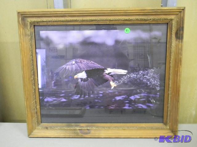 &quotFree Spirit Endangered Specie...