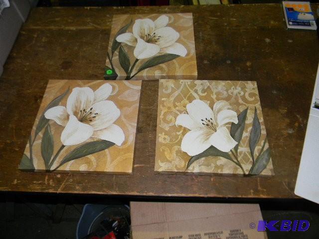 Lot of 3 canvas pictures - beautifu...