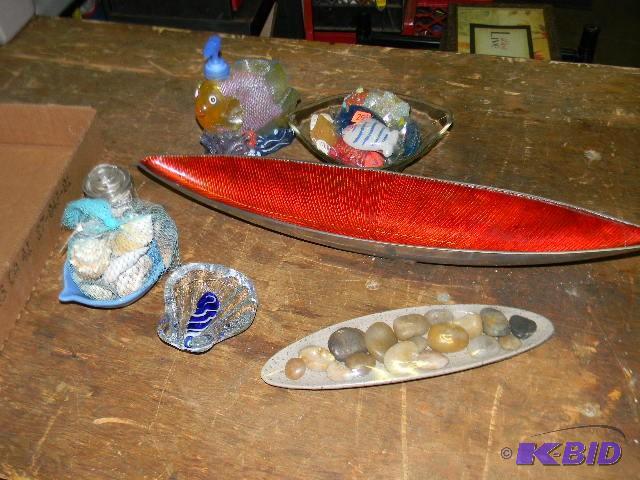 Lot of sea shells and other misc....
