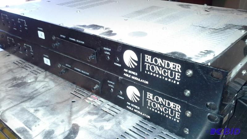 lot 71 image: Blonder Tongue