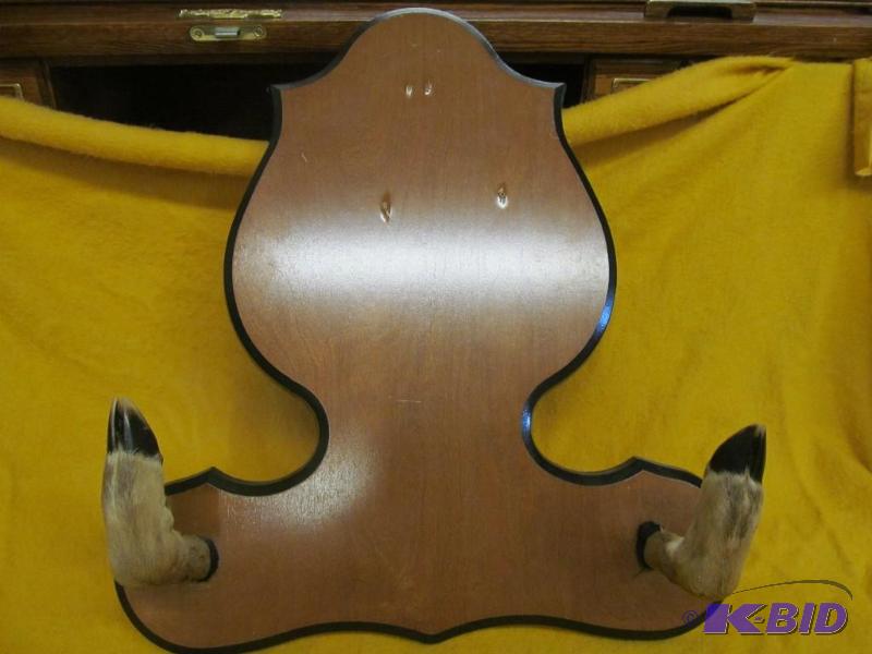 Decor