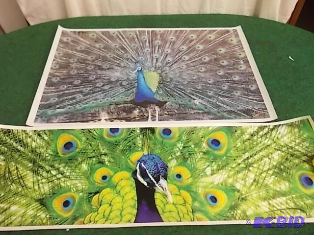 2-Peacock Pictures 39 x 12 Glossy P...