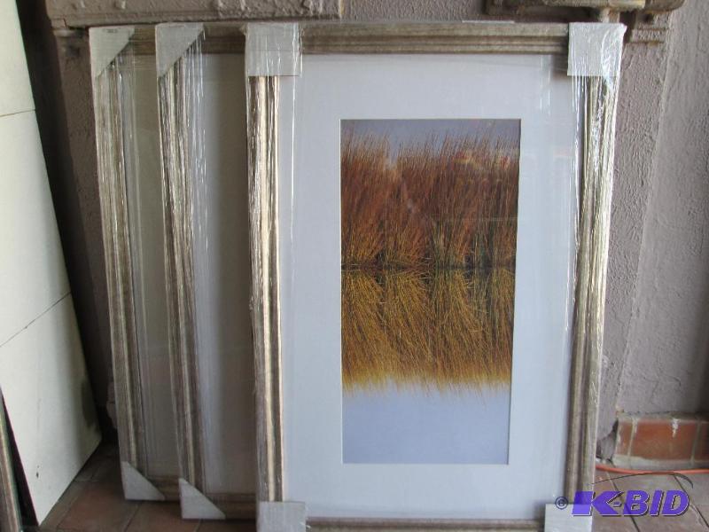 Lot of 3 framed nature scenes....