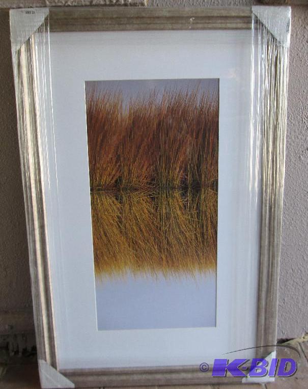 Single large framed nature scene....