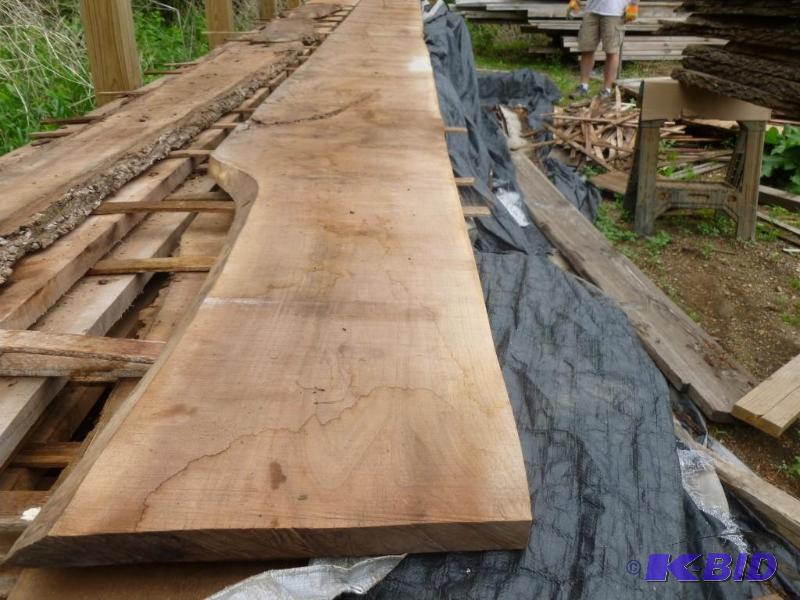 Large Black Walnut Board That Measu...