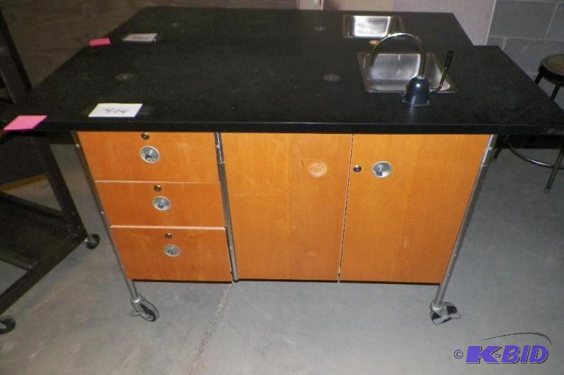 Science Table with Sink