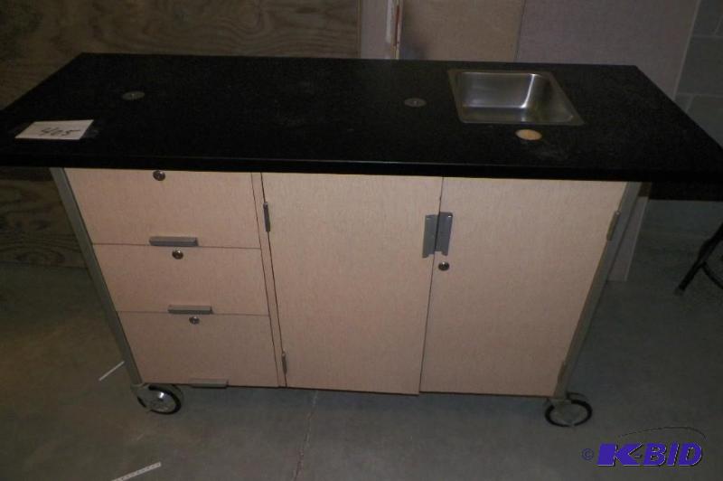 Science Table with Sink