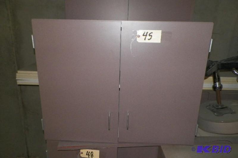 lot 45 image: Purple Wall Cabinet with Adjustable Shelf