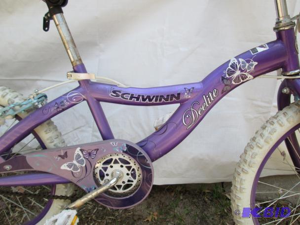 Schwinn deelite 2024 purple