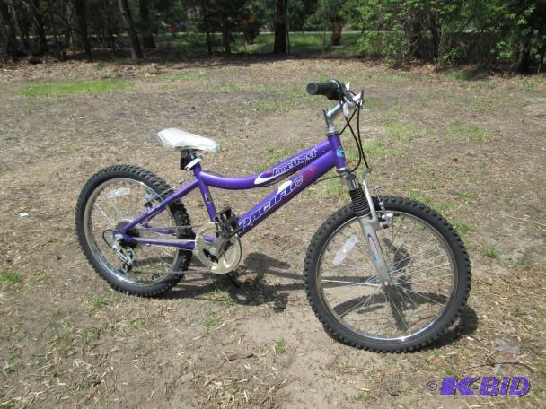 lot 12 image: Pacific Amethyst 5-speed 20" B...