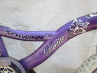 deelite schwinn