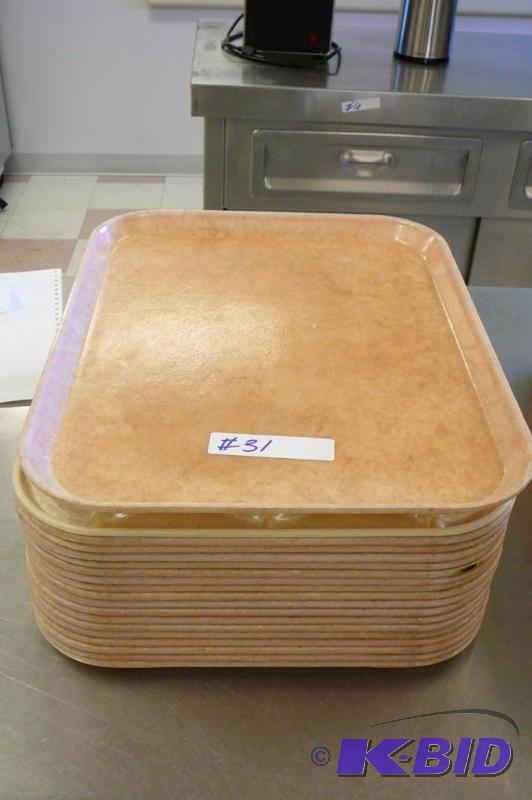 19&nbspCAMTRAY&nbspFIBER GLASS SE...