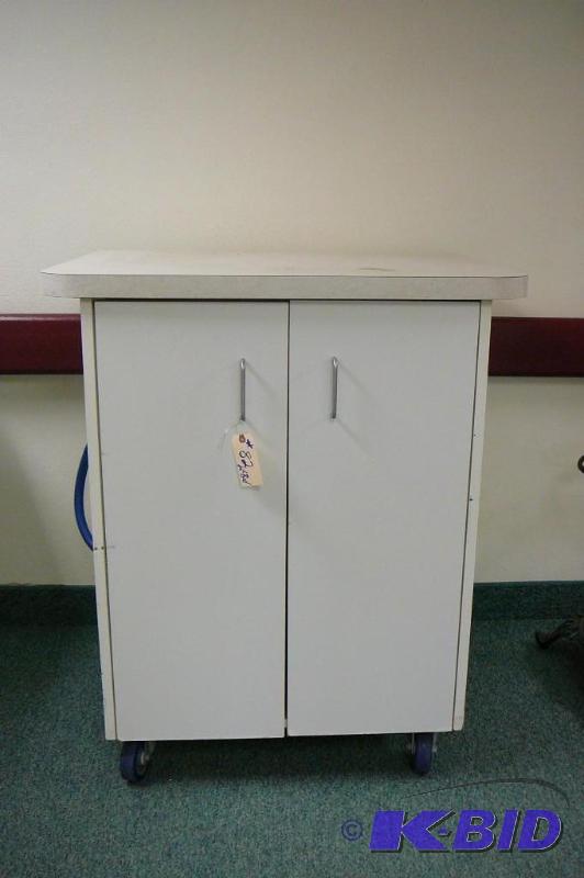 CABINET ON CASTERS WITH WATER FILTR...