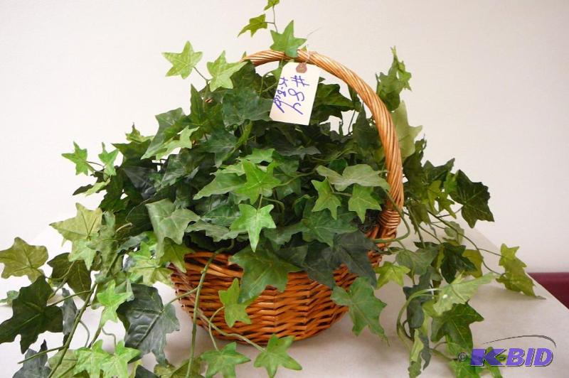 DECORATIVE BASKET Sold &quotas is&...