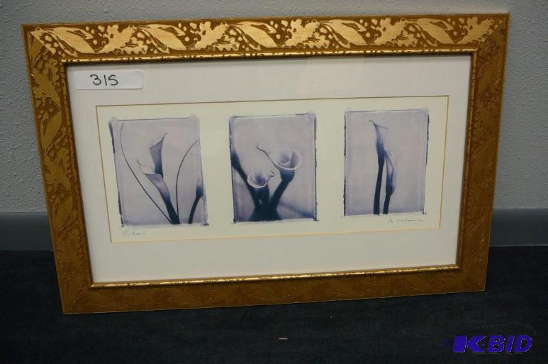 Cali Lillys&nbspby A Melion &nbsp...
