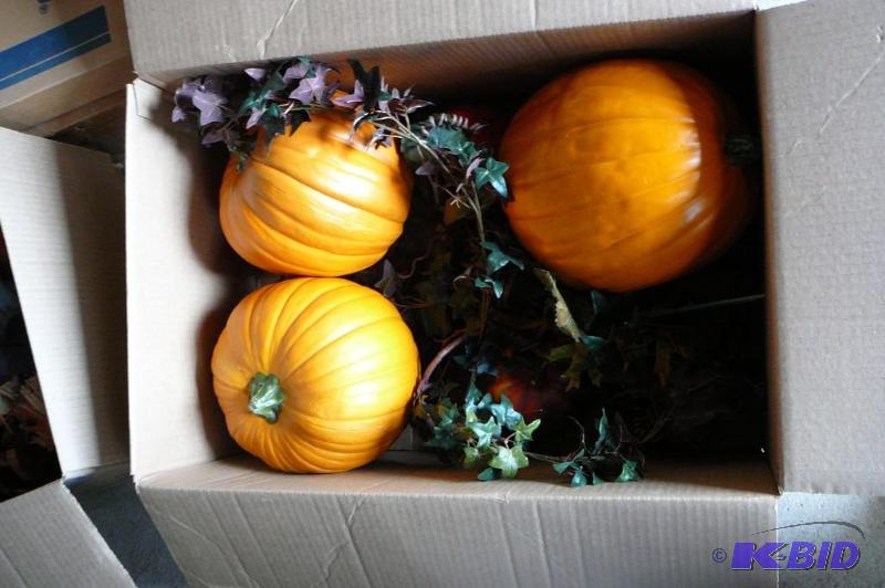 Misc Holloween decorations like&nbs...