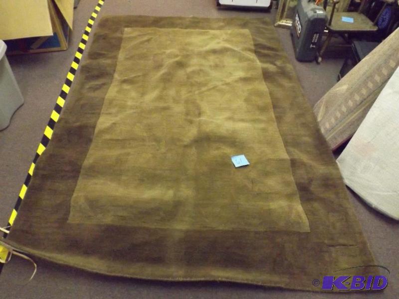 Area rug that has some wrinkles but...