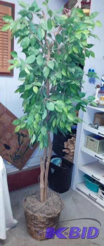 6 Foot artificial Tree--great for d...