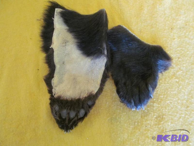 Bear Claws