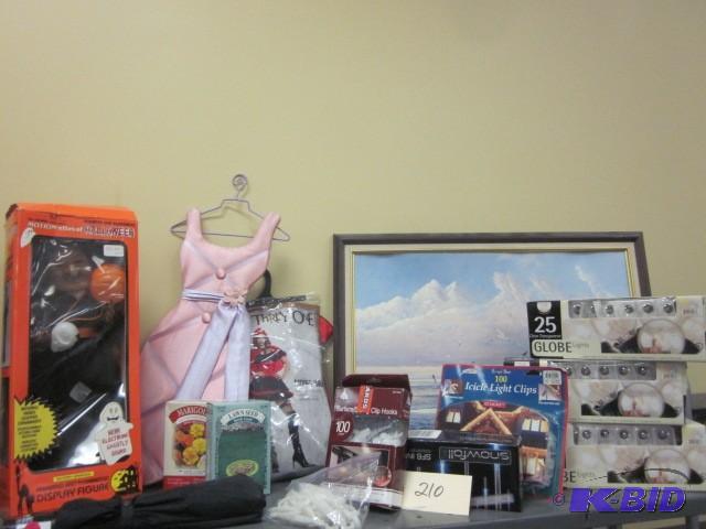 lot 210 image: Entire shelf of contents, including...