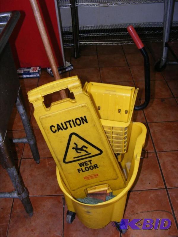 Mop Bucket and Mop, includes the We...