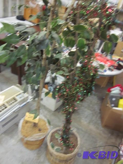 Pair of artificial trees....