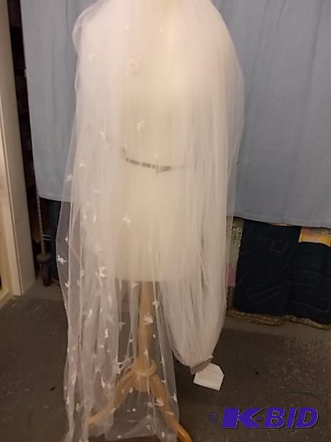 White With Pink Cathedral Veil...