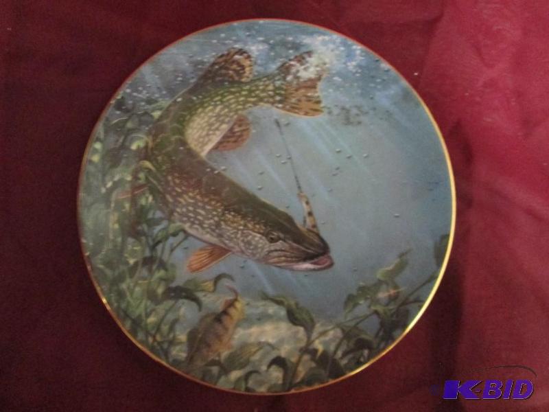 lot 57 image: Freshwater Barracuda from the Ham...