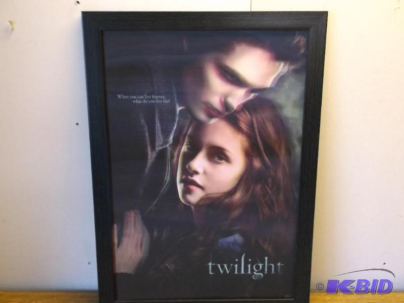 Large 3D twilight measuring 21 18&...
