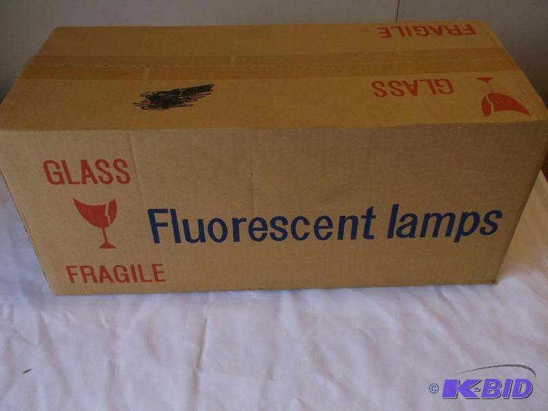 Fluorescent lamp bulbs 25 bulbs in ...