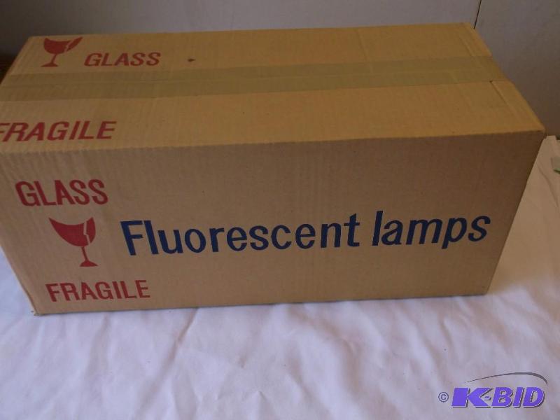 Feit Electric Fluorescent Bulbs 15 ...