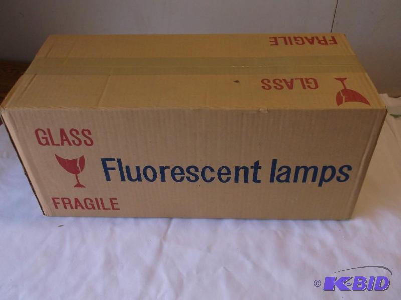 Feit Electric light bulbs 15 watts ...