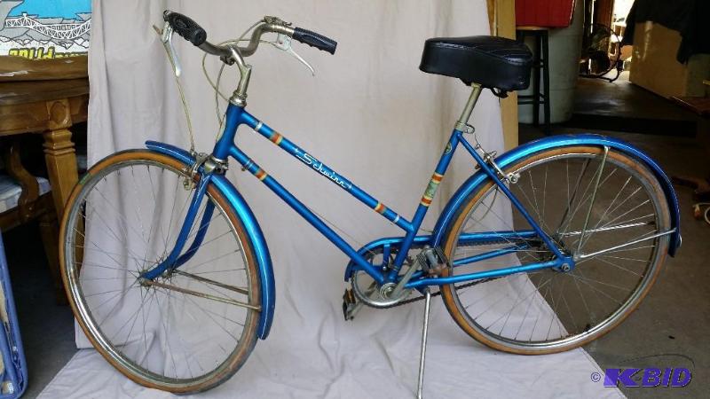 19 Schwinn Womens Bike