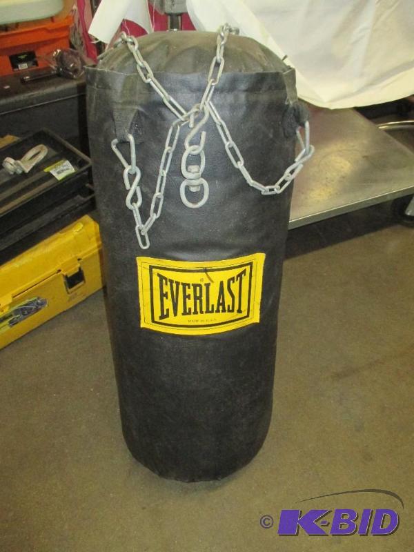 Everlast Boxing or Punching Bag