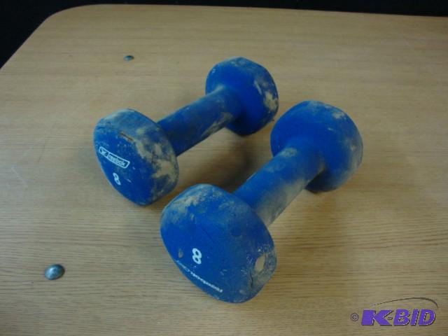 8lb Reebok Dumbells...