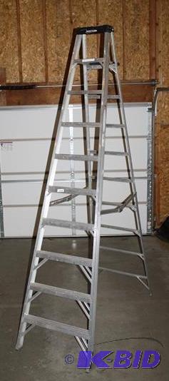 lot 80 image: Werner 10 Silver Step Ladder...