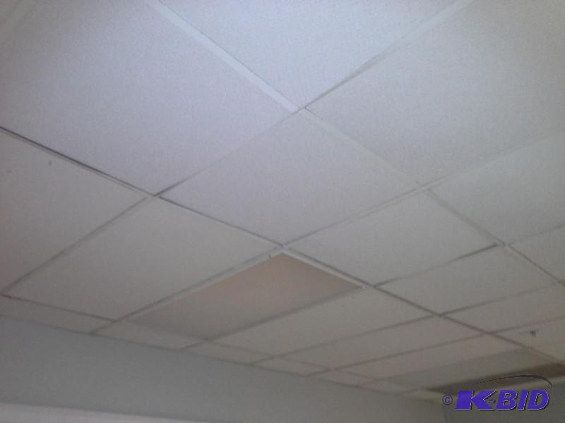 lot 144 image: Ceiling Tile