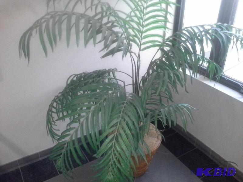 lot 502 image: Artificial Plants