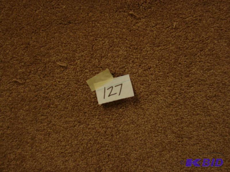 Carpet 4.5x12